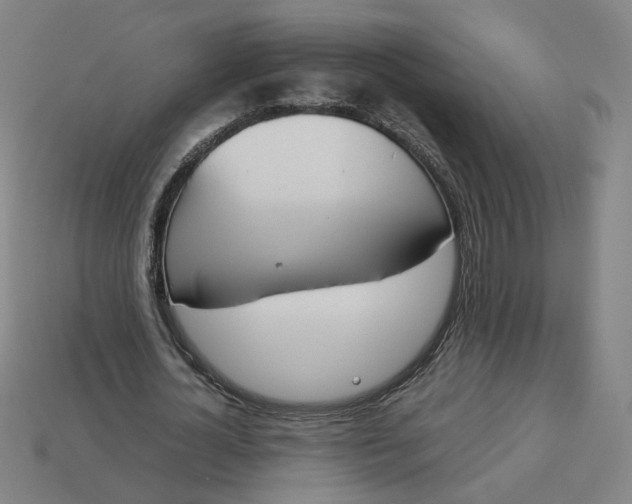 X0000113350724200910061018