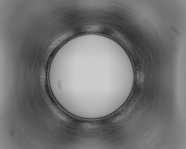 X0000113350725200910061018