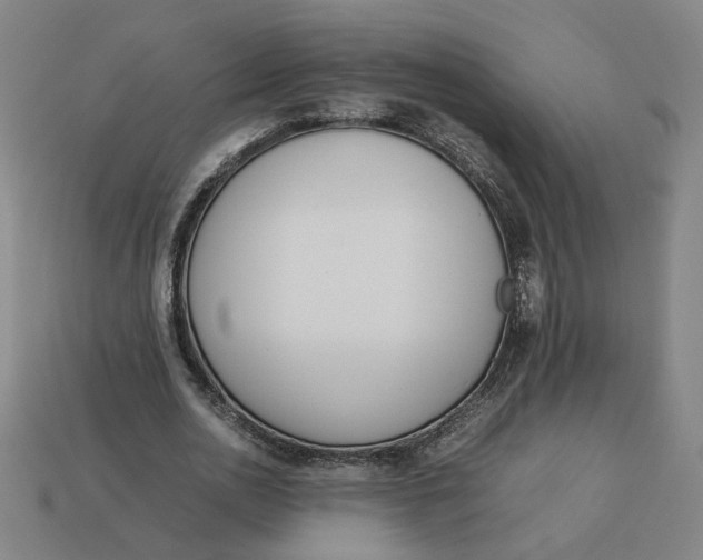 X0000113350726200910061018