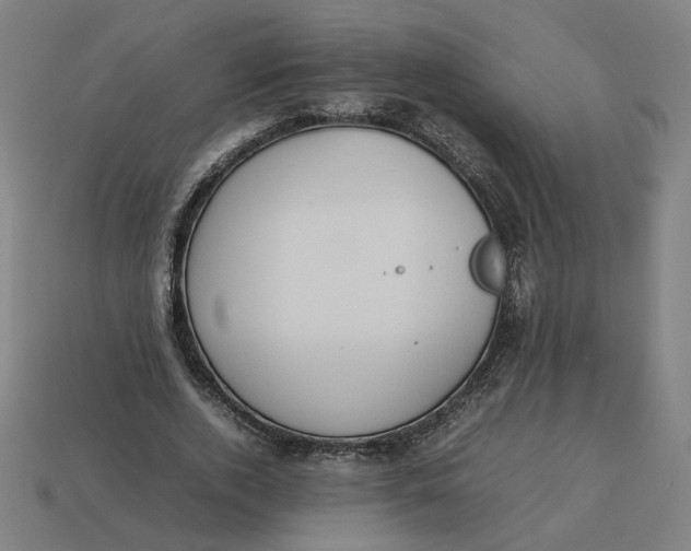 X0000113350728200910061018