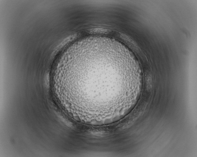 X0000113350729200910061018