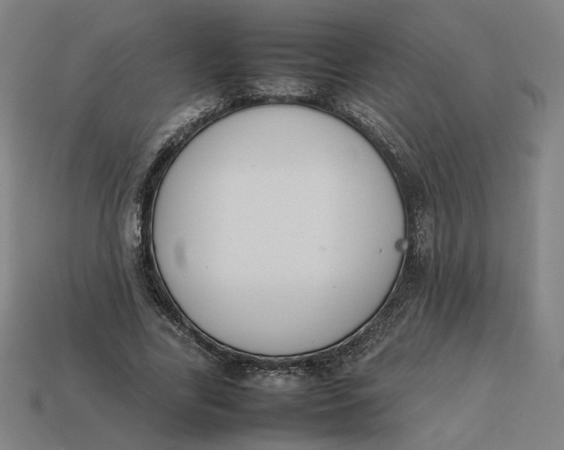 X0000113350731200910061018