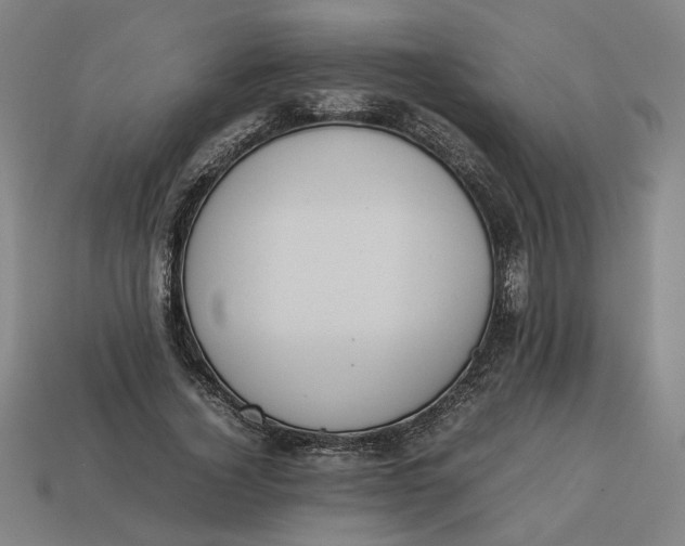 X0000113350732200910061018