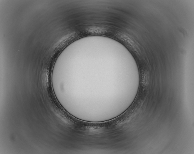 X0000113350733200910061018