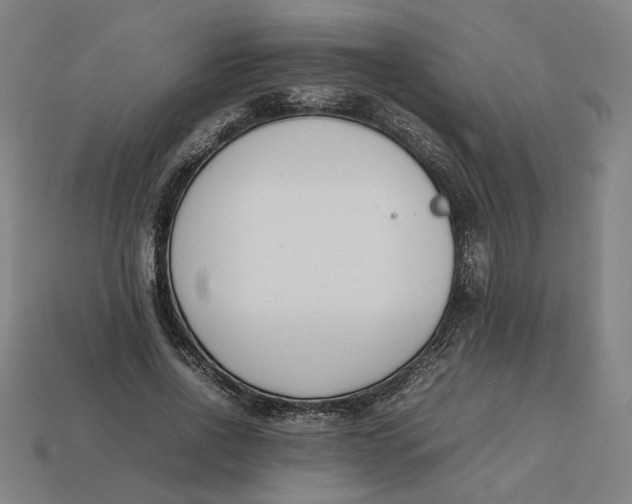 X0000113350734200910061018