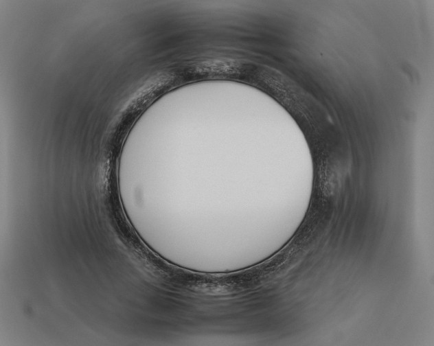 X0000113350735200910061018