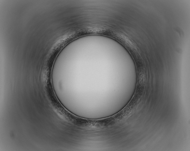 X0000113350736200910061018