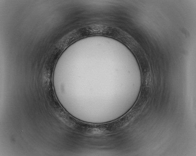 X0000113350737200910061018