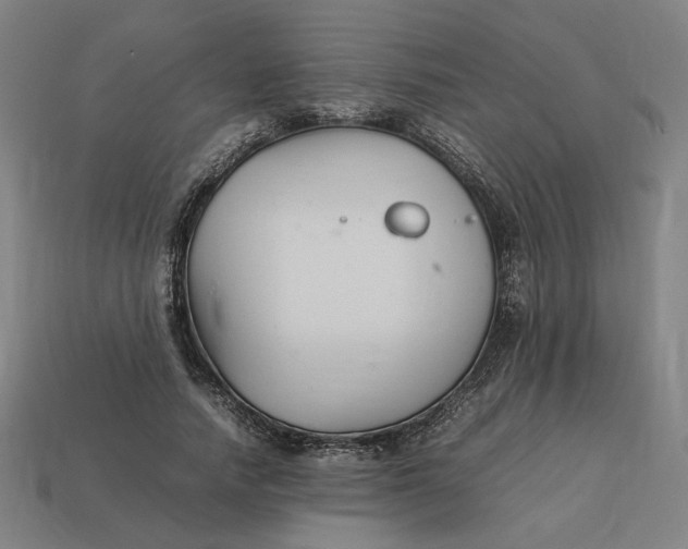 X0000113350738200910061018