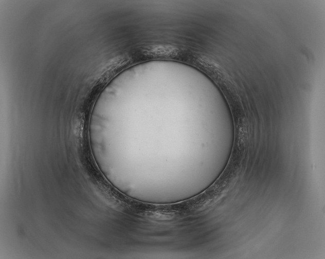 X0000113350739200910061018