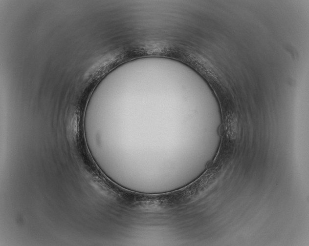 X0000113350740200910061018