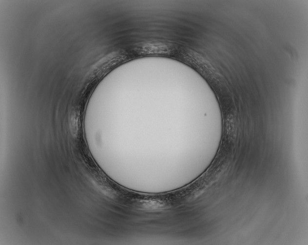 X0000113350741200910061018