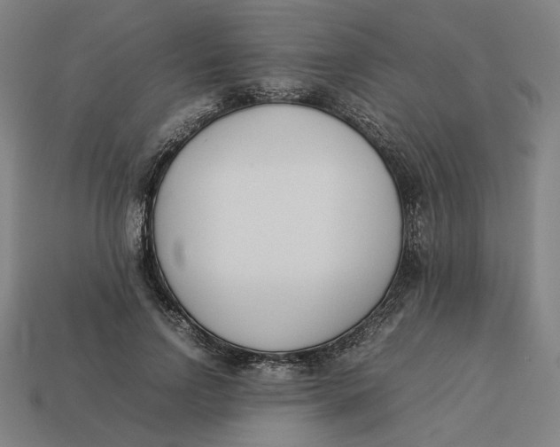 X0000113350742200910061018