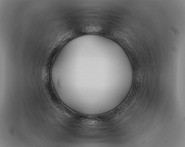 X0000113350743200910061018