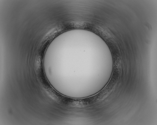 X0000113350744200910061018