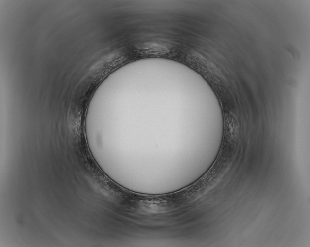 X0000113350745200910061018