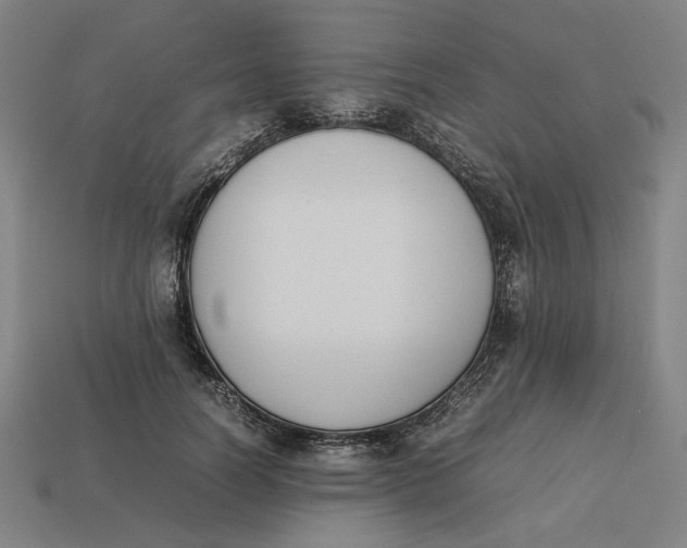 X0000113350746200910061018