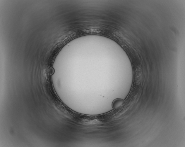 X0000113350747200910061018