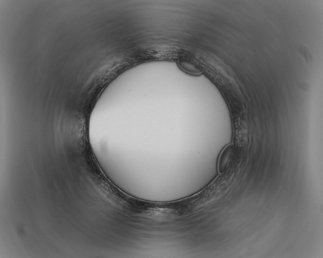 X0000113350748200910061018