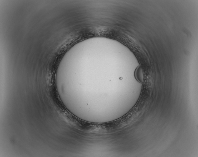 X0000113350750200910061018