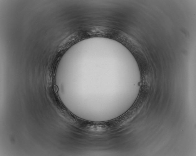 X0000113350751200910061018