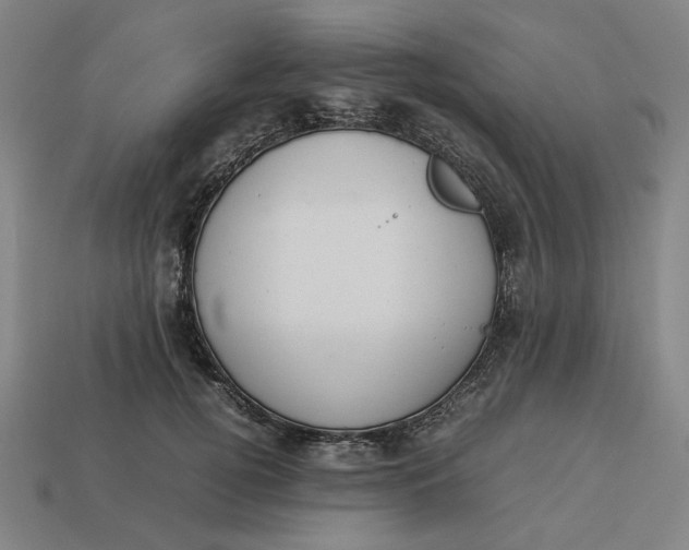 X0000113350752200910061018