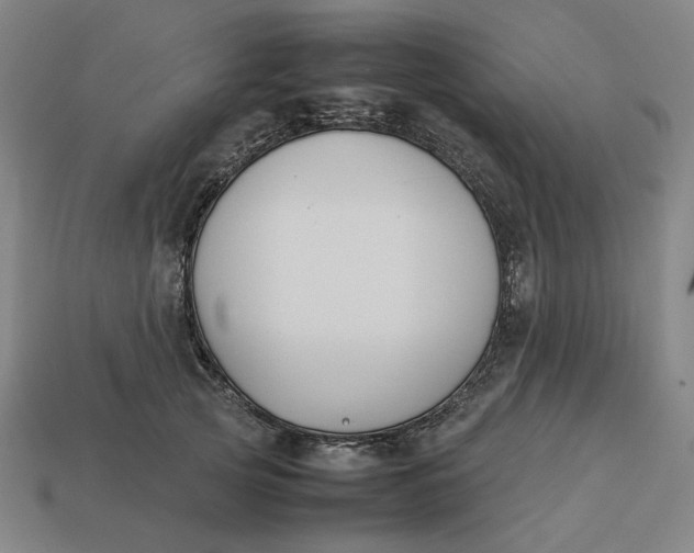 X0000113350753200910061018