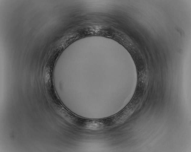 X0000113350754200910061018