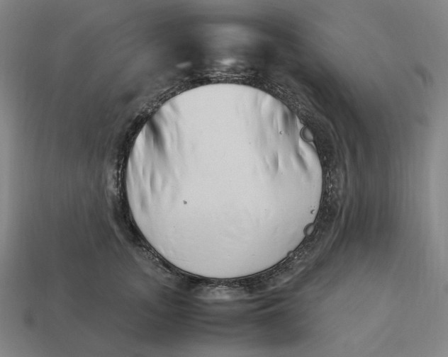 X0000113350755200910061018