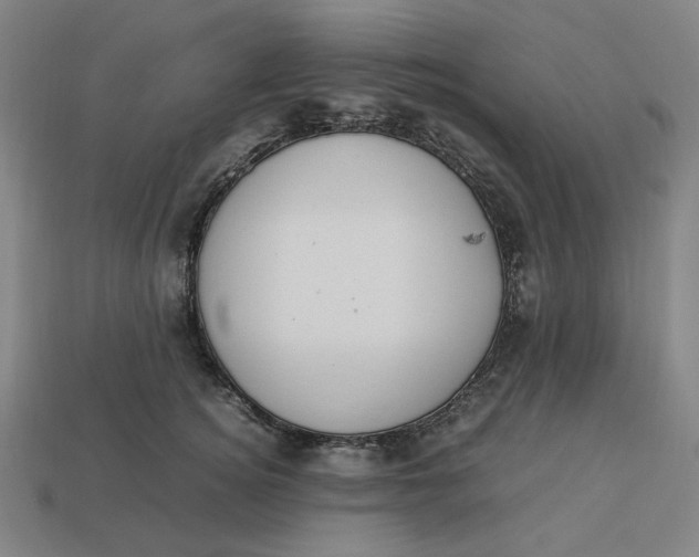 X0000113350756200910061018