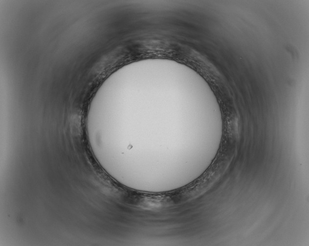 X0000113350757200910061018