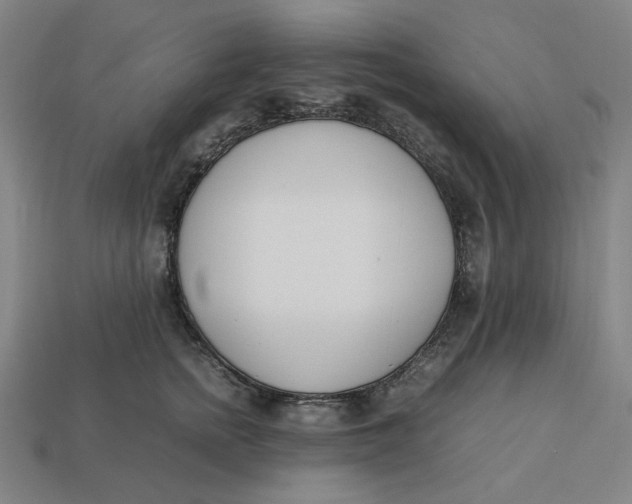 X0000113350758200910061018