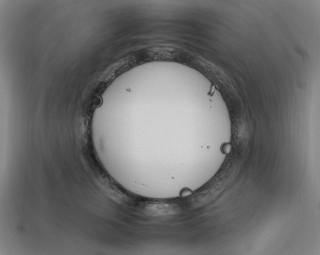 X0000113350759200910061018