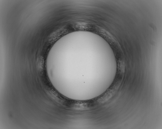 X0000113350760200910061018