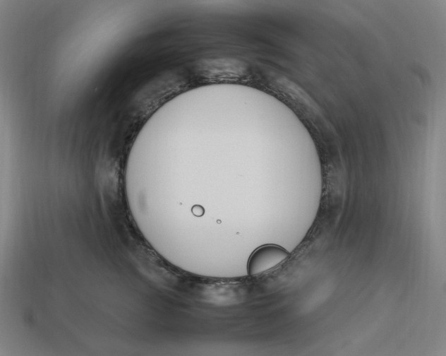 X0000113350761200910061018