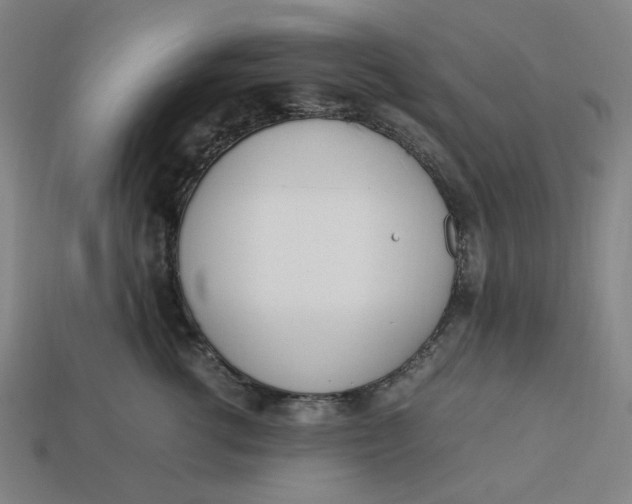 X0000113350762200910061018