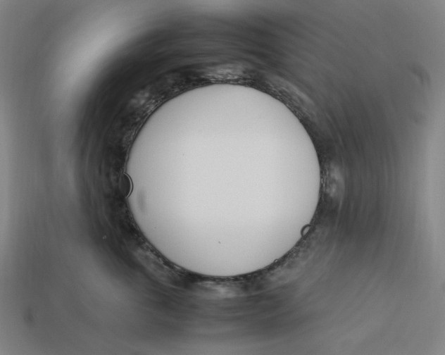 X0000113350763200910061019