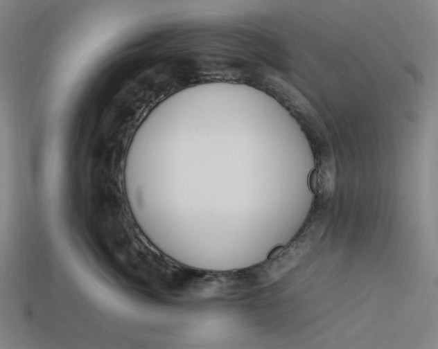 X0000113350764200910061019