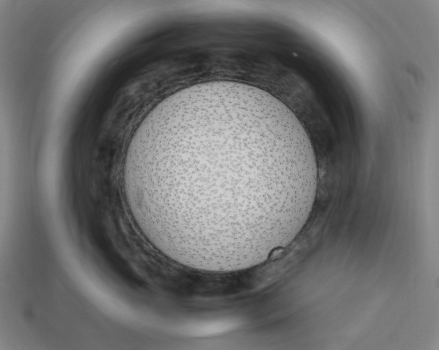 X0000113350765200910061019