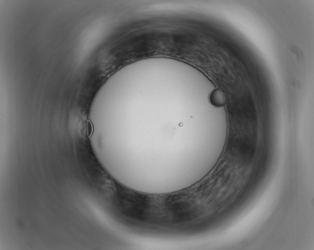 X0000113350766200910061019