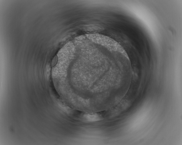 X0000113350767200910061019