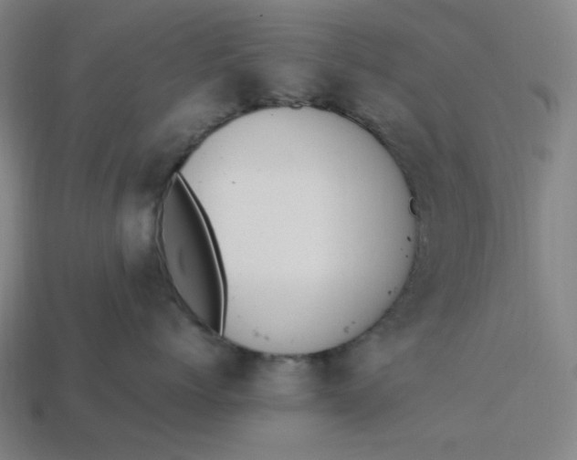 X0000113350768200910061019