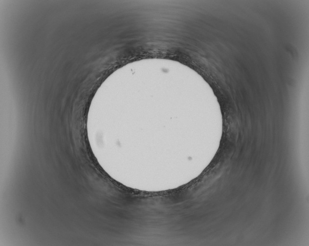 X0000113350769200910061018