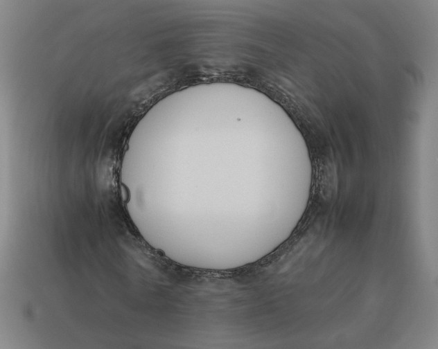 X0000113350770200910061018