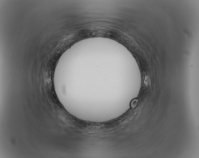 X0000113350771200910061018