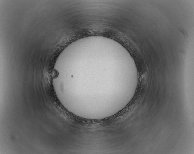 X0000113350772200910061018