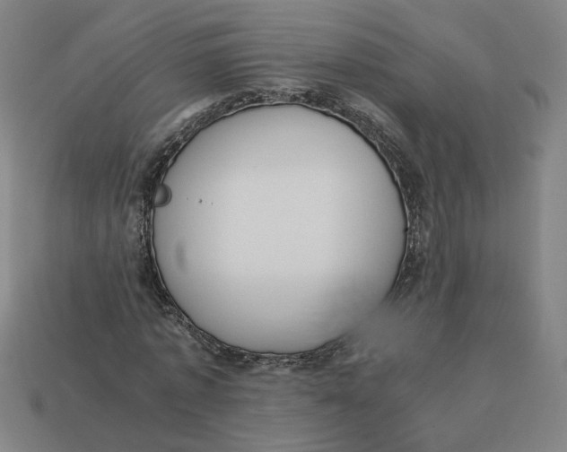 X0000113350773200910061018