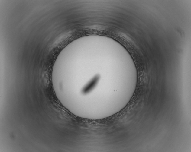 X0000113350774200910061018