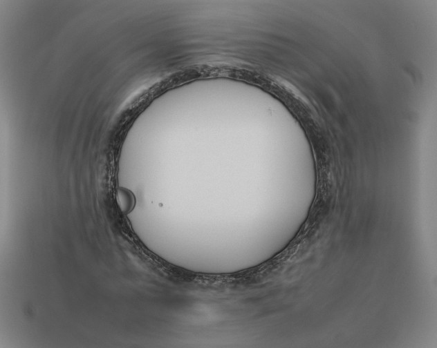 X0000113350775200910061018