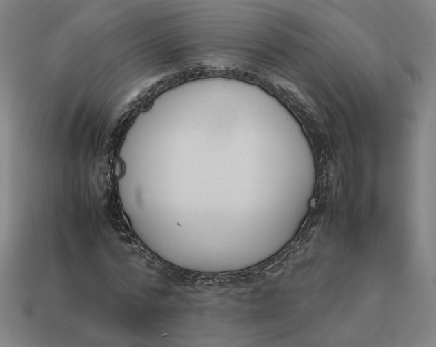 X0000113350776200910061018